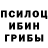 Псилоцибиновые грибы Cubensis Thomas Belka