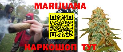 гидра Кандалакша