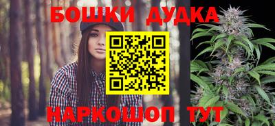 СК Будённовск