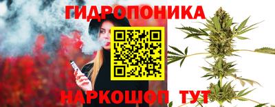 гидра Кандалакша