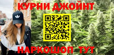 jwh Кингисепп