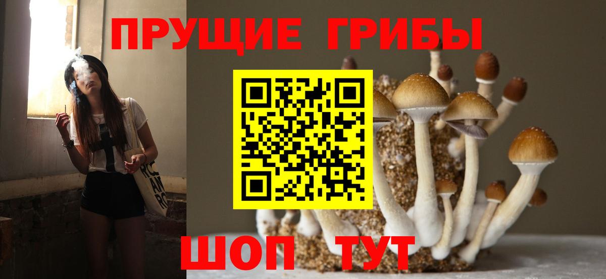 Галлюциногенные грибы мицелий Крымск